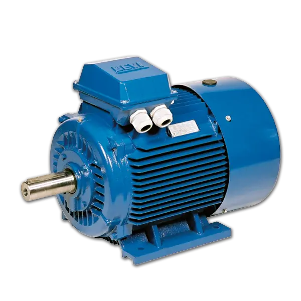 Explosion Proof Motor