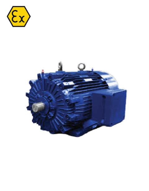 3d 200l1 2 | explosion proof motor